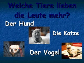 Welche Tiere lieben die Leute mehr? Der Hund Die Katze Der Vogel 