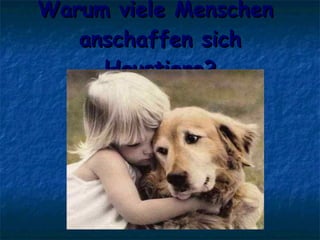 Warum viele Menschen  anschaffen sich Haustiere? 