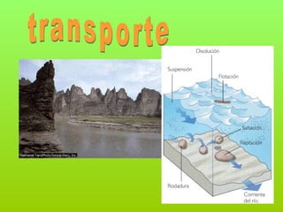 transporte 