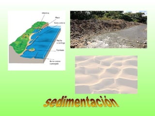 sedimentación 