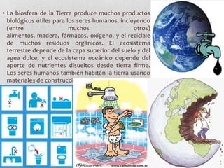 • La biosfera de la Tierra produce muchos productos
  biológicos útiles para los seres humanos, incluyendo
  (entre                  muchos                 otros)
  alimentos, madera, fármacos, oxígeno, y el reciclaje
  de muchos residuos orgánicos. El ecosistema
  terrestre depende de la capa superior del suelo y del
  agua dulce, y el ecosistema oceánico depende del
  aporte de nutrientes disueltos desde tierra firme.
  Los seres humanos también habitan la tierra usando
  materiales de construcción para construir refugios.
 
