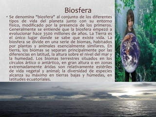 Biosfera
• Se denomina "biosfera" al conjunto de los diferentes
  tipos de vida del planeta junto con su entorno
  físico, modificado por la presencia de los primeros.
  Generalmente se entiende que la biosfera empezó a
  evolucionar hace 3500 millones de años. La Tierra es
  el único lugar donde se sabe que existe vida. La
  biosfera se divide en una serie de biomas, habitados
  por plantas y animales esencialmente similares. En
  tierra, los biomas se separan principalmente por las
  diferencias en latitud, la altura sobre el nivel del mar y
  la humedad. Los biomas terrestres situados en los
  círculos ártico o antártico, en gran altura o en zonas
  extremadamente áridas son relativamente estériles
  de vida vegetal y animal; la diversidad de especies
  alcanza su máximo en tierras bajas y húmedas, en
  latitudes ecuatoriales.
 