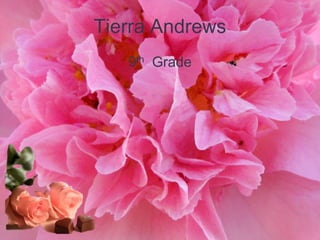 Tierra Andrews
   9th Grade
 