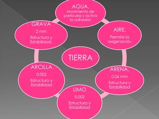 TIERRA
AGUA.
Movimiento de
partículas y activa
la adhesión
AIRE.
Permite la
oxigenación
ARENA.
0.06 mm
Estructura y
Estabilidad
LIMO
0.002
Estructura y
Estabilidad
ARCILLA
0.002
Estructura y
Estabilidad
GRAVA
2 mm
Estructura y
Estabilidad.
 