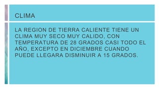 CLIMA
LA REGION DE TIERRA CALIENTE TIENE UN
CLIMA MUY SECO MUY CALIDO, CON
TEMPERATURA DE 28 GRADOS CASI TODO EL
AÑO, EXCEPTO EN DICIEMBRE CUANDO
PUEDE LLEGARA DISMINUIR A 15 GRADOS.
 