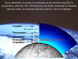 En la atmósfera, el ozono se concentra en un estrecha franja de la estratosfera, entre los 20 y 40 kilómetros de altura, formando la llamada capa de ozono, un elemento decisivo para la vida en el planeta   Capa de ozono 