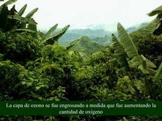 La capa de ozono se fue engrosando a medida que fue aumentando la cantidad de oxígeno 