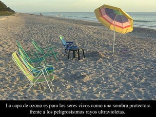 L a capa de ozono es para los seres vivos como una sombra protectora frente a los peligrosísimos rayos ultravioletas.  