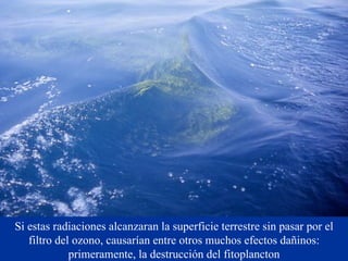 Si estas radiaciones alcanzaran la superficie terrestre sin pasar por el filtro del ozono, causarían entre otros muchos efectos dañinos: primeramente, la destrucción del fitoplancton 
