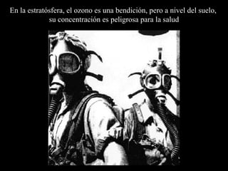 En la estratósfera, el ozono es una bendición, pero a nivel del suelo,  su  concentraci ón es  peligrosa para la salud 