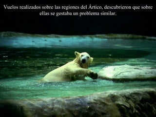 Vuelos realizados sobre las regiones del Ártico, descubrieron que sobre ellas se gestaba un problema similar. 