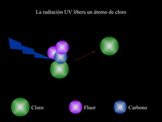 La radiación UV libera un átomo de cloro Cloro Carbono Fluor 
