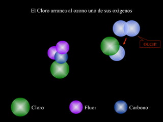 El Cloro arranca al ozono uno de sus oxígenos Cloro Carbono Fluor OUCH! 
