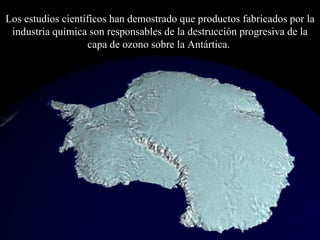 Los estudios científicos han demostrado que productos fabricados por la industria química son responsables de la destrucción progresiva de  la  capa de ozono sobre la Antártica.   