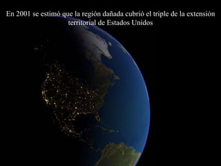 En 2001 se estimó que la región dañada cubrió el triple de la extensión territorial de Estados Unidos 