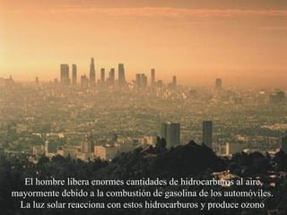 El hombre libera enormes cantidades de hidrocarburos al aire, mayormente debido a la combustión de gasolina de los automóviles.  La luz solar reacciona con estos hidrocarburos y produce ozono   