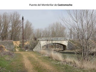 Puente del Membrillar de Castromocho
 