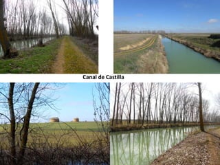Canal de Castilla
 