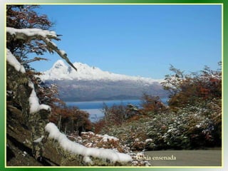 Bahía ensenada 