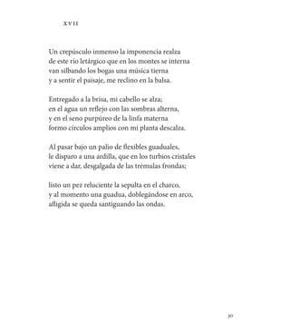 30
XVII
Un crepúsculo inmenso la imponencia realza
de este río letárgico que en los montes se interna
van silbando los bogas una música tierna
y a sentir el paisaje, me reclino en la balsa.
Entregado a la brisa, mi cabello se alza;
en el agua un reflejo con las sombras alterna,
y en el seno purpúreo de la linfa materna
formo círculos amplios con mi planta descalza.
Al pasar bajo un palio de flexibles guaduales,
le disparo a una ardilla, que en los turbios cristales
viene a dar, desgalgada de las trémulas frondas;
listo un pez reluciente la sepulta en el charco,
y al momento una guadua, doblegándose en arco,
afligida se queda santiguando las ondas.
 