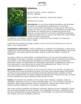 El huerto medicinal
                                                                                             11

                           Albahaca

                           Nombre científico: Ocinum basilicum L.
                           Familia: Labiadas

                           Otros nombres: albahacar, hierba real, basilico

                           Originaria de la India

                           Descripción: Es una de las plantas aromáticas más preciosas
                           en cocina, es considerada insustituible por un gourmet.
                           Tiene un gusto dulce, es fragante y parece que es más fuerte
                           cuando, en verano, el sol aumenta su intensidad. Las hojas más
                           perfumadas son aquellas que se recogen poco antes de la
                           floración, ya que contienen una mayor cantidad de sustancias
                           oleosas que determinan su aroma; sus hojas más viejas tienden
                           a tener un sabor más picante.
La albahaca, aclimatada a nuestro medio, sorprende por las virtudes y la magia que
encierra entre sus ramos, flores y hojas.

Sustancias que contiene: Estragol, eugenol, timol, que son las sustancias que le dan su
sabor y olor característicos.

Propiedades medicinales: Alivia la disentería, la irritación de la garganta, el dolor de la
cabeza que no sea consecuencia de presión arterial inestable, expulsa parásitos intestinales
(lombrices), evita gases gastrointestinales, detiene la caída del cabello y controla la
digestión.

Las hojas y flores son estimulantes y antiespamódicas. Se usan contra los efectos de los
retorcijones de barriga en infusión. Su infusión es, también, tónico, calmante de los dolores
de la matriz, y muy adecuada para combatir los vómitos. El polvo de sus hojas hace
estornudar. Existen principalmente dos variedades importantes: la albahaca de hoja fina y
la de hoja ancha. La de hoja ancha se utiliza en la elaboración del "Pesto". Es muy
conocida tambien como ahuyentadora de mosquitos.

Modos de empleo: En cocimiento de dos minutos en hervor o en infusión: se toma una
taza media hora antes del desayuno durante cinco días; para expulsar gases estomacales-
se toma una taza después de los alimentos el tiempo necesario para conseguir el alivio.
Para evitar caída del pelo: las hojas, después de hervidas con un poco de su jugo, se frotan
el cuero cabelludo las veces necesarias hasta alivianar el mal.

Cultivo: Se siembran las semillas en tierra floja y bien drenada y abonada, mejor en
almácigos. Germinan a los 10 ó 14 días. Necesita riego y sol. No se entierra la semilla al
sembrarla, debe quedar bastante cerca de la superficie. Cuando tiene cuatro hojas la
planta se puede trasplantar a una maceta, después en la hortaliza.

Hay como muchas variedades de albahaca conocidas. Algunas son bien adaptadas y hasta
que se pueden propagar por guía o esceje. Las variedades mas finas y culinarias (como
las típica variedad para el pesto italiano) son mas delicadas. La mayoría de las albahacas
son anuales, pero hay variedades perennes.
 