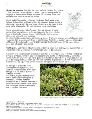 14
                                                     El huerto medicinal


Modos de empleo: Infusión: Un buen puño de hojas y flores para
1 litro de agua. Hervir primero el agua y cuando apague eche un
puño de la planta, tapar la olla y esperar 10 minutos. Colar con
cuidado para no dejar pasar los pelitos

Como sudorífico (según M. Ramos Montes de Oca)- para bajar
fiebres de los niños- se hieve un litro de agua con dos ramas de la
planta con todo y raiz, durante cinco minutos y se agrega a la tina
para bañar al pequeño; del cocimiento se toma media taza

Como alimento: A las hojas frescas y tiernas, cocidas al vapor
como si fueran espinacas, se les agrega aceite de oliva, cebolla
finamente picada, jugo de limón, y sal al gusto, con lo que se
obtiene un alimento muy nutritivo.
Se recomienda agregar las hojas frescas y tiernas finamente picadas a ensaladas con otras
verduras. Son sabrosas, nutritivas y económicas. También se pueden agregar a las sopas
caldosas o de verduras.Es recomendable agregar las flores frescas en las sopas secas,
pues son sabrosas y saludables.

Cultivo: Una vez introducida al sistema, la borraja es de fácil cultivo, pues sus semillas se
diseminan solas y germinan fácilmente con un poco de humedad.

Generalmente se comienzan a introducir semillas, si tenemos pocas, podemos sembrar en
bolsas o almácigo. También se puede cosechar una planta con flores secas, y utilizarlas
como mulch en un pedazo de tierra que previamente fue desyerbado y preparado. Con un
poco de riego pronto aparecen las primeras plantitas. Si practica una forma de agricultura
sin labranza, las siguientes generaciones de borrajas deberían nacer solas....

La borraja es excelente como
acompañante del jitomate, si se
controla su crecimiento. Sirve como
forraje para los abejas durante la
estación invernal.
Sus ramas, hojas y flores pueden
servir, como ingrediente para la
composta, en caso de tener
demasiado en el terreno. También se
puede elaborar un fertilizante liquido
con sus hojas, similar al fabricado
con la hoja de consuelda.




                                                  en la imagen: plantitas de borraja recien nacidos en agosto


Aportaciones y referencias:
Sergio Mamert, H. Hieronimi, Esther Albesa, Marina Ortiz
Mechor Ramos Montes de Oca - «En el rincón de su jardín- remedios caseros» ISBN 970-93051-0-7 , 1ª edición 2001,
Pátzcuaro, Michoacán
«The gardeners handbook of Edible Plants» Rosalind Creasy, Sierra Club Books, 1986
http://www.herbogeminis.com/borraja.html
http://www.agro.uba.ar/catedras/cul_indus/galeria/borraja.htm
 