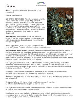 18
                                            El huerto medicinal
Chicalote
Nombre cientifico: Argemone ochroleuca L. ssp
mexicana L

Familia: Papaveráceas

NOMBRE(S) COMUN(ES): Aceitilla, Amapola amarilla,
Arnica blanca del campo, Cardo (BC), Chicalot,
chichilotl o xicolotl (náhuatl), Chicalote, Chicalote
(Mex e Hgo), Chicalote amarillo, Chicalt, Espinocilla,
Flor espinosa, K’umataraku (purépecha), K´iix-
k´anlol o k´iix-saklol (maya), Kix-kanlol (Yuc), Shate
(purepecha), Tlamexcaltzin (Ver), Tzolich (huasteco),
Uechinichi (zapoteco), Xata, Xate, Yarg Yech
(Zapoteco)

Descripción: Herbácea de 80 cm a 1 metro de
altura. Crece con rapidez, es muy decorativa y está
cubierta de espinas. Es usada como tranquilizante
suave y analgésico.

Habita en bosques de encino, pino, otras coníferas y
otras latifoliadas. Prospera principalmente en áreas abiertas.

Propiedades medicinales: Todas las parte del chicalote tienen componentes activos. El
Chicalote pertenece a la familia de las Papaveraceaes y es nativa de México; tiene
numerosos usos medicinales, ha sido usada como un anestésico para cirugías, para tratar
el cáncer, el resfrío común, la fiebre, las inflamaciones y los dolores de muelas. Sus
constituyentes químicos incluyen a la protopina, la berberina y diversas isoquilinas. Ha sido
usada en rituales como una hierba embriagante.

Las hojas y las semillas se usan en infusión como sedantes, analgésicas y para la tos.
Poseen un ligero efecto narcótico. Toda la planta contiene un látex amarillo que se usa
externamente contra las verrugas. alivia el insomnio; en los ojos diminuye la irritación y
destruye carnosidades y “nubes”

Se emplea contra fiebres intermitentes, calmante de irritaciones gastrointestinales,
purgante y antirreumático; las flores como sudorífico y pectoral;

Modos de empleo: Para el dolor de dientes, se coloca el látex directamente en la muela
con un algodón.

El jugo de la flor y el fruto se utiliza para la carnosidad de los ojos.
La infusión de la flor se emplea para la tos y la bilis.

Las hojas aplicadas directamente eliminan mezquinos. Además en forma de chiquiadores,
se colocan en la sien para el dolor de cabeza.

Para la diarrea, se usan las hojas hervidas con arroz tostado y molido. Como calmante
nervioso se toma el cocimiento de las hojas antes de dormir. El mismo cocimiento se toma
en ayunas, agregando el látex para la diabetes.
 