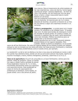 El huerto medicinal
                                                                                                     21

                                                 Uso interno: Para el tratamiento de enfermedades de
                                                 las vías respiratorias, casos de diarrea, hemorragias,
                                                 vómitos de sangre (ulceras digestivas) . Se hace de
                                                 100 a 150 gramos. de raíz fresca por litro de agua.
                                                 Poner a hervir y dejar macerando toda la noche.
                                                 Beberlo en 24 horas.
                                                 Para los problemas pulmonares, el vino de consuelda
                                                 es una maravilla. Se desmenuzan de 2 a 5 raíces
                                                 después de lavarlas y se ponen a macerar en un litro
                                                 de vino blanco o algún otro espiritoso durante 5 o 6
                                                 semanas.

                                        Cultivo y propagación: Le gusta pleno sol o media
                                        sombra. Es resistente a las heladas hasta 15 grados
                                        bajo cero. Es ideal para bordos de estanques o canal
                                        de reciclaje de aguas grises. En cuanto a suelos, es
                                        tolerante a cualquier tipo de suelo, tanto pantanoso
                                        como bien drenado. Prefiere los alcalinos pero se
                                        adapta bien a los terrenos ácidos.
                                        Puede reproducirse con la raíz, excavando pedazos
                                        plantánmdolos en los lugares deseados. Pero
                                        cuidado- donde la planta se establece y no se puede
sacar de allí tan fácilmente. Por esto los lugares debajo de los árboles frutales son ideales,
porque su raíz no compite con las raíces del árbol, las hojas proveen fertilizante y mantiene
control sobre hierbas problemáticas como el zacate chino, por ejemplo.

La recolección: La de la raíz se efectúa a los dos o tres anos de sembrada en marzo o abril.
Es cuando mas alantoína tiene, siendo uno de sus principios activos mas fuerte. Aparte de
muchos mucílagos y hierro, fósforo manganeso, proteínas, vitaminas A, B, B 12, C.

Usos en la agricultura: El purín de consuelda es un buen fertilizante y tónico para las
plantas. Modo de preparar: Llenar un tambo
con agua y añadir buena cantidad de planta
fresca dejándola macerar de 7 a 14 días.,
moviéndola diariamente hasta que aparezca
una espumita encima. Este preparado se
usara en forma de vaporización de
preferencia al atardecer. Como fijador, se
puede añadir una o dos barras de jabón.




Aportaciones y referencias:
Sergio Mamert, H. Hieronimi
«The herb book», editado por John Lust Benedict Lust Publications, 1974
«The gardeners handbook of Edible Plants» Rosalind Creasy, Sierra Club Books, 1986
 