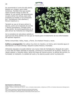 28
                                                           El huerto medicinal

Se recomienda el zumo de esta planta,
bebida con vinagre, para matar
lombrices. También dice que puesta
sobre la frente mitiga el dolor de
cabeza. El uso actual más generalizado
es para calmar los cólicos, para este
propósito se emplea un té compuesto
por: hierbabuena más albahaca (
Ocinum basilicum ).

También se usa en té para calmar la
diarrea, junto con el epazote de zorrillo
( Teloxys graveolens), tomado como
agua común. Se toma igualmente en té
para aliviar las molestias de indigestión.

Se le considera de naturaleza caliente al
igual que las otras plantas con las que se mezcla para el tratamiento de las enfermedades
del aparato digestivo.

Partes consumidas: tallos, hojas, y flores. Se emplean frescas y secas.

Cultivo y propagación: Se cultiva muy bien en maceta y en tierra, pero necesita agua en
abundancia y un buen drenaje. Requiere suelos frescos y húmedos.

Utilizando esquejes se puede obtener una nueva mata de hierbabuena. Después de cuatro
o cinco días de haber plantado el esqueje, comienza el crecimiento de la planta. Produce un
rápido espesor y robustos tallos, llenos de hojas de intenso aroma. La altitud del terreno, la
humedad, la insolación, la calidad del suelo y los abonos puede variar la producción.




Aportaciones y referencias:
Sergio Mamert, H. Hieronimi, Marina Ortiz
CD-Rom «Plantas medicinales de Mexico- Usos y remedios tradicionales», editado por CETEI y el Instituto Nacional de Biología de la
UNAM
http://www.tusplantas.com/jardin/plantas/aromaticasymedicinales/
index.cfm?pagina=jardin_plantas_aromaticasymedicinales_018_018
http://www.infojardin.net/fichas/plantas-medicinales/mentha-sativa.htm
 