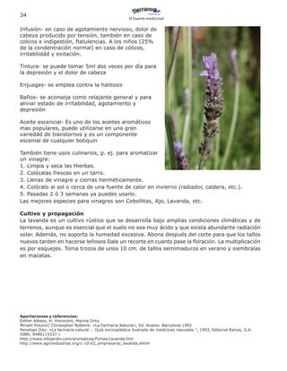 34
                                                        El huerto medicinal

Infusión- en caso de agotamiento nervioso, dolor de
cabeza producido por tensión, también en caso de
colicos e indigestión, flatulencias. A los niños (25%
de la condentración normal) en caso de cólicos,
irritabilidád y exitación.

Tintura- se puede tomar 5ml dos veces por día para
la depresión y el dolor de cabeza

Enjuages- se emplea contra la halitosis

Baños- se aconseja como relajante general y para
aliviar estado de irritabilidad, agotamiento y
depresión

Aceite escencial- Es uno de los aceites aromáticos
mas populares, puede utilizarse en una gran
variedád de transtornos y es un componente
escenial de cualquier botiquin

También tiene usos culinarios, p. ej. para aromatizar
un vinagre:
1. Limpia y seca las Hierbas.
2. Colócalas frescas en un tarro.
3. Llenas de vinagre y cierras herméticamente.
4. Colócalo al sol o cerca de una fuente de calor en invierno (radiador, caldera, etc.).
5. Pasadas 2 ó 3 semanas ya puedes usarlo.
Las mejores especies para vinagres son Cebollitas, Ajo, Lavanda, etc.

Cultivo y propagación
La lavanda es un cultivo rústico que se desarrolla bajo amplias condiciones climáticas y de
terrenos, aunque es esencial que el suelo no sea muy ácido y que exista abundante radiación
solar. Además, no soporta la humedad excesiva. Abona después del corte para que los tallos
nuevos tarden en hacerse leñosos Dale un recorte en cuanto pase la floración. La multiplicación
es por esquejes. Toma trozos de unos 10 cm. de tallos semimaduros en verano y siembralas
en macetas.




Aportaciones y referencias:
Esther Albesa, H: Hieronimi, Marina Ortiz
Miriam Polunin/ Christopher Robbins: «La Farmacia Natural», Ed. Acanto. Barcelona 1992
Penelope Ody: «La farmacia natural - Guía encicoplédica ilustrada de medicinas naturales ”, 1993, Editorial Raíces, S.A.
ISBN: 8486115337 )
http://www.infojardin.com/aromaticas/Fichas/Lavanda.htm
http://www.agroindustrias.org/1-10-02_empresarial_lavanda.shtml
 