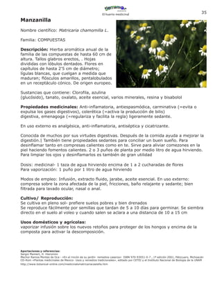 El huerto medicinal
                                                                                                                                     35
Manzanilla
Nombre científico: Matricaria chamomilla L.

Familia: COMPUESTAS

Descripción: Hierba aromática anual de la
familia de las compuestas de hasta 60 cm de
altura. Tallos glabros erectos, . Hojas
divididas con lóbulos dentados. Flores en
capítulos de hasta 2'5 cm de diámetro;
lígulas blancas, que cuelgan a medida que
maduran; flósculos amarillos, pentalobulados
en un receptáculo cónico. De origen europeo.

Sustancias que contiene: Clorofila, azulina
(glucósido), tanato, oxalato, aceite esencial, varios minerales, resina y bisabolol

Propiedades medicinales: Anti-inflamatoria, antiespasmódica, carminativa (=evita o
expulsa los gases digestivos), colerética (=activa la producción de bilis)
digestiva, emenagoga (=regulariza y facilita la regla) ligeramente sedante.

En uso externo es analgésica, anti-inflamatoria, antiséptica y cicatrizante.

Conocida de muchos por sus virtudes digestivas. Después de la comida ayuda a mejorar la
digestión.| También tiene propiedades sedantes para conciliar un buen sueño. Para
desinflamar tanto en compresas calientes como en te. Sirve para aliviar comezones en la
piel haciendo fomentos calientes. 2 o 3 puños de planta por medio litro de agua hirviendo.
Para limpiar los ojos y desinflamarlos es también de gran utilidad

Dosis: medicinal- 1 taza de agua hirviendo encima de 1 a 2 cucharadas de flores
Para vaporización: 1 puño por 1 litro de agua hirviendo

Modos de empleo: Infusión, extracto fluido, jarabe, aceite esencial. En uso externo:
compresa sobre la zona afectada de la piel, fricciones, baño relajante y sedante; bien
filtrada para lavado ocular, nasal o anal.

Cultivo/ Reproducción:
Se cultiva en pleno sol- prefiere suelos pobres y bien drenados
Se reproduce fácilmente por semillas que tardan de 5 a 10 días para germinar. Se siembra
directo en el suelo al voleo y cuando salen se aclara a una distancia de 10 a 15 cm

Usos domésticos y agrícolas:
vaporizar infusión sobre los nuevos retoños para proteger de los hongos y encima de la
composta para activar la descomposición.



Aportaciones y referencias:
Sergio Mamert, H. Hieronimi
Mechor Ramos Montes de Oca - «En el rincón de su jardín- remedios caseros» ISBN 970-93051-0-7 , 1ª edición 2001, Pátzcuaro, Michoacán
CD-Rom «Plantas medicinales de Mexico- Usos y remedios tradicionales», editado por CETEI y el Instituto Nacional de Biología de la UNAM
http://www.botanical-online.com/medicinalsmatricariacastella.htm
 