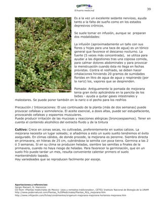 El huerto medicinal
                                                                                                                     39


                                                    Es a la vez un excelente sedante nervioso, ayuda
                                                    tanto a la falta de sueño como en los estados
                                                    depresivos crónicos.

                                                    Se suele tomar en infusión, aunque se preparan
                                                    dos modalidades:

                                                    La infusión (aproximadamente un tallo con sus
                                                    flores y hojas para una taza de agua) es un tónico
                                                    general que favorece el descanso nocturno. La
                                                    fuerte (5 veces más concentrada), se utiliza para
                                                    ayudar a las digestiones tras una copiosa comida,
                                                    para calmar dolores abdominales y para provocar
                                                    la menstruación cuando ésta no llega en fechas
                                                    previstas. Contra el resfriado, se deben hacer
                                                    inhalaciones hirviendo 20 gramos de sumidades
                                                    floridas en litro de agua de agua y respirando (por
                                                    la nariz) los, vapores que se desprenden.

                                     Pomada: Antiguamente la pomada de mejorana
                                     tenia gran éxito aplicándola en la pancita de los
                                     bebes - ayuda a quitar gases intestinales y
malestares. Se puede poner también en la nariz o el pecho para los resfríos

Precaución / Intoxicaciones: El uso continuado de la planta (más de dos semanas) puede
provocar cefaleas y somnolencia. El aceite esencial, a dosis altas, puede ser estupefaciente,
provocando cefaleas y espasmos musculares.
Puede producir irritación de las mucosas y reacciones alérgicas (broncoespasmos). Tener en
cuenta el contenido alcohólico del extracto fluido y de la tintura

Cultivo: Crece en zonas secas, no cultivadas, preferentemente en suelos calizos. La
mejorana necesita un lugar soleado; si añadimos a esto un suelo suelto tendremos el éxito
asegurado. En climas cálidos, de donde procede, la mejorana es perenne. Siembra directa
en primavera, en hileras de 25 cm, cubriéndose la semilla con poca tierra. Germina a las 2
ó 3 semanas. Si en su clima se producen heladas, siembre las semillas a finales de la
primavera, cuando no haya riesgo de heladas. Para favorecer la germinación, que en un
suelo frío puede tardar un mes, resulta conveniente calentar primero el suelo
manteniéndolo tapado.
Hay variedeades que se reproducen facilmente por esceje.




Aportaciones y referencias:
Sergio Mamert, H. Hieronimi
CD-Rom «Plantas medicinales de Mexico- Usos y remedios tradicionales», CETEI/ Instituto Nacional de Biología de la UNAM
http://www.podernatural.com/Plantas_%20Medicinales/Plantas_M/p_mejorana.htm
http://www.infojardin.com/fichas/condimentos/origanum-majorana-majorana-hortensis-mejorana.htm
 