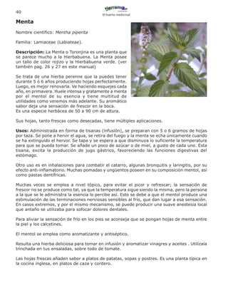 40
                                           El huerto medicinal

Menta
Nombre científico: Mentha piperita

Familia: Lamiaceae (Labiateae).

Descripción: La Menta o Toronjina es una planta que
se parece mucho a la Hierbabuena. La Menta posee
un tallo de color rojizo y la Hierbabuena verde. (ver
también pag. 26 y 27 en este manual)

Se trata de una hierba perenne que la puedes tener
durante 5 ó 6 años produciendo hojas perfectamente.
Luego, es mejor renovarla. Ve haciendo esquejes cada
año, en primavera. Huele intensa y gratamente a menta
por el mentol de su esencia y tiene multitud de
utilidades como veremos más adelante. Su aromático
sabor deja una sensación de frescor en la boca.
Es una especie herbácea de 50 a 90 cm de altura.

Sus hojas, tanto frescas como desecadas, tiene múltiples aplicaciones.

Usos: Administrada en forma de tisanas (infusión), se preparan con 5 o 6 gramos de hojas
por taza. Se pone a hervir el agua, se retira del fuego y la menta se echa únicamente cuando
se ha extinguido el hervor. Se tapa y se espera a que disminuya lo suficiente la temperatura
para que se pueda tomar. Se añade un poco de azúcar o de miel, a gusto de cada uno. Esta
tisana, excita la producción de jugo gástrico, favoreciendo las funciones digestivas del
estómago.

Otro uso es en inhalaciones para combatir el catarro, algunas bronquitis y laringitis, por su
efecto anti-inflamatorio. Muchas pomadas y ungüentos poseen en su composición mentol, así
como pastas dentífricas.

Muchas veces se emplea a nivel tópico, para evitar el picor y refrescar; la sensación de
frescor no se produce como tal, ya que la temperatura sigue siendo la misma, pero la persona
a la que se le administra la esencia lo percibe así. Esto se debe a que el mentol produce una
estimulación de las terminaciones nerviosas sensibles al frío, que dan lugar a esa sensación.
En casos extremos, y por el mismo mecanismo, se puede producir una suave anestesia local
que antaño se utilizaba para sofocar dolores dentales.

Para aliviar la sensación de frío en los pies se aconseja que se pongan hojas de menta entre
la piel y los calcetines.

El mentol se emplea como aromatizante y antiséptico.

Resulta una hierba deliciosa para tomar en infusión y aromatizar vinagres y aceites . Utilízala
trinchada en tus ensaladas, sobre todo de tomate.

Las hojas frescas añaden sabor a platos de patatas, sopas y postres. Es una planta típica en
la cocina inglesa, en platos de caza y cordero.
 