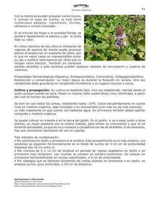 El huerto medicinal
                                                                                             41

Con la menta se pueden preparar varios licores,
e incluso la sopa de menta, la cual tiene
numerosos adeptos. Caramelos, chicles,
refrescos e incluso chocolate.

Si se trituran las hojas o la sumidad florida, se
perderá rápidamente la esencia y por lo tanto
todo su valor.

En niños menores de dos años la inhalación de
vapores de esencia de menta puede provocar
asfixia al producirse un espasmo de glotis, por
lo que en estos casos es imprescindible evitar
su uso y sustituir esta esencia por otras que no
tengan tales efectos. También en personas
adultas sensibles a esta escencia pueden aparecer estados de nerviosismo y cuadros de
insomnio.

Propiedades farmacológicas:Digestivo, Antiespasmódico, Carminativo, Colagogo/colerético.
Recolección y conservación: La mejor época es durante la floración en verano. Una vez
recolectada debe guardarse en recipientes herméticos y en lugares oscuros y secos.

Cultivo y propagación: Su cultivo es bastante fácil. Una vez establecido, rebrota desde el
suelo aunque cuando se seca. Posee un rizoma (tallo subterráneo) muy ramificado, a partir
del cual se forman las plantitas.

Va bien en casi todos los climas, resistiendo hasta -15ºC. Crece estupendamente en suelos
ricos en materia orgánica, algo húmedos y en semisombra (con más luz da más esencia).
Lo más importante es que cuente con bastante agua. En primavera también debes aportar
composta y materia orgánica.

Se puede cultivar en maceta o en la tierra del jardín. En el jardín, si va a estar junto a otras
plantas, es mejor plantarla con la misma maceta, para limitar su crecimiento y que no se
extienda demasiado, ya que es muy invasora y competiría con las de alrededor. Si es necesario,
hay que controlarla recortando de vez en cuando.

Trés métodos de multiplicación:
• Por estolones en otoño y primavera a la sombra. Este procedimiento es el más práctico. Los
estolones se disponen horizontalmente en el fondo de surcos de 5-10 cm de profundidad
distancia dos 50 cm entre sí.
• Por rizomas de 8 a 12 cm de longitud en periodo de reposo vegetativo en otoño o en
primavera muy temprano. Los rizomas se extraen en octubre-noviembre. Se colocan en
primavera horizontalmente en surcos superficiales, a 8 cm de profundidad.
• Por vástagos que se obtienen dividiendo las matas jóvenes en primavera o en otoño, en
amplios surcos, poco profundos, a 50 cm de distancia.




Aportaciones y referencias:
Sergio Mamert, H. Hieronimi
http://www.infojardin.com/aromaticas/Fichas/Menta.htm
http://www.botanical-online.com/mentastro.htm
 
