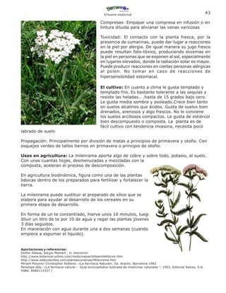 El huerto medicinal
                                                                                                                           43

                                                    Compresas- Empapar una compresa en infusión o en
                                                    tintura diluida para alivianar las venas varicosas

                                                    Toxicidad: El contacto con la planta fresca, por la
                                                    presencia de cumarinas, puede dar lugar a reacciones
                                                    en la piel por alergia. De igual manera su jugo fresco
                                                    puede resultan foto-tóxico, produciendo eccemas en
                                                    la piel en personas que se exponen al sol, especialmente
                                                    en lugares elevados, donde la radiación solar es mayor.
                                                    Puede producir reacciones en ciertas personas alérgicas
                                                    al polen. No tomar en caso de reacciones de
                                                    hipersensibilidad estomacal.

                                                    El cultivo: En cuanto a clima le gusta templado y
                                                    templado frio. Es bastante tolerante a las sequías y
                                                    resiste las heladas.. .hasta de 15 grados bajo cero.
                                                    Le gusta media sombra y asoleado.Crece bien tanto
                                                    en suelos alcalinos que ácidos. Gusta de suelos bien
                                                    drenados, arenosos y algo frescos. No le conviene
                                                    los suelos arcillosos compactos. Le gusta de estiércol
                                                    bien descompuesto o composta. La planta es de
                                                    fácil cultivo con tendencia invasora, necesita poco
labrado de suelo

Propagación: Principalmente por división de matas a principios de primavera y otoño. Con
esquejes verdes de tallos tiernos en primavera o principio de otoño.

Usos en agricultura: La milenrama aporta algo de cobre y sobre todo, potasio, al suelo.
Con unas cuantas hojas, desmenuzadas y mezcladas con la
composta, aceleran el proceso de descomposición.

En agricultura biodinámica, figura como una de las plantas
básicas dentro de los preparados para fertilizar y fortalecer la
tierra.

La milenrama puede sustituir al preparado de sílice que se
elabora para ayudar al desarrollo de los cereales en su
primera etapa de desarrollo.

En forma de un te concentrado, hierve unos 10 minutos, luego
diluir un litro de te por 10 de agua y regar las plantas jóvenes
3 días seguidos.
En maceración con agua durante una a dos semanas (cuando
empiece a espumar el liquido).


Aportaciones y referencias:
Esther Albesa, Sergio Mamert , H. Hieronimi
http://www.botanical-online.com/medicinalsachilleamillefolium.htm
http://www.webcolombia.com/plantascurativas/Milenrama.htm
Miriam Polunin/ Christopher Robbins: «La Farmacia Natural», Ed. Acanto. Barcelona 1992
Penelope Ody: «La farmacia natural - Guía encicoplédica ilustrada de medicinas naturales ”, 1993, Editorial Raíces, S.A.
ISBN: 8486115337 )
 