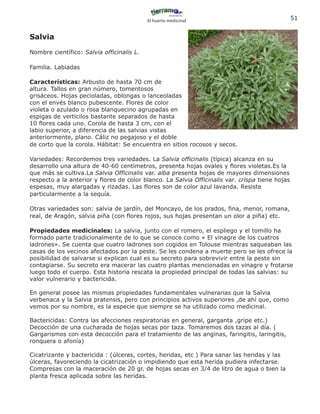 El huerto medicinal
                                                                                                 51


Salvia

Nombre científico: Salvia officinalis L.

Familia. Labiadas

Características: Arbusto de hasta 70 cm de
altura. Tallos en gran número, tomentosos
grisáceos. Hojas pecioladas, oblongas o lanceoladas
con el envés blanco pubescente. Flores de color
violeta o azulado o rosa blanquecino agrupadas en
espigas de verticilos bastante separados de hasta
10 flores cada uno. Corola de hasta 3 cm, con el
labio superior, a diferencia de las salvias vistas
anteriormente, plano. Cáliz no pegajoso y el doble
de corto que la corola. Hábitat: Se encuentra en sitios rocosos y secos.

Variedades: Recordemos tres variedades. La Salvia officinalis (típica) alcanza en su
desarrollo una altura de 40-60 centímetros, presenta hojas ovales y flores violetas.Es la
que más se cultiva.La Salvia Officinalis var. alba presenta hojas de mayores dimensiones
respecto a la anterior y flores de color blanco. La Salvia Officinalis var. crispa tiene hojas
espesas, muy alargadas y rizadas. Las flores son de color azul lavanda. Resiste
particularmente a la sequía.

Otras variedades son: salvia de jardín, del Moncayo, de los prados, fina, menor, romana,
real, de Aragón, salvia piña (con flores rojos, sus hojas presentan un olor a piña) etc.

Propiedades medicinales: La salvia, junto con el romero, el espliego y el tomillo ha
formado parte tradicionalmente de lo que se conoce como « El vinagre de los cuatros
ladrones». Se cuenta que cuatro ladrones son cogidos en Tolouse mientras saqueaban las
casas de los vecinos afectados por la peste. Se les condena a muerte pero se les ofrece la
posibilidad de salvarse si explican cual es su secreto para sobrevivir entre la peste sin
contagiarse. Su secreto era macerar las cuatro plantas mencionadas en vinagre y frotarse
luego todo el cuerpo. Esta historia rescata la propiedad principal de todas las salvias: su
valor vulnerario y bactericida.

En general posee las mismas propiedades fundamentales vulnerarias que la Salvia
verbenaca y la Salvia pratensis, pero con principios activos superiores ,de ahí que, como
vemos por su nombre, es la especie que siempre se ha utilizado como medicinal.

Bactericidas: Contra las afecciones respiratorias en general, garganta ,gripe etc.)
Decocción de una cucharada de hojas secas por taza. Tomaremos dos tazas al día. (
Gargarismos con esta decocción para el tratamiento de las anginas, faringitis, laringitis,
ronquera o afonía)

Cicatrizante y bactericida : (úlceras, cortes, heridas, etc ) Para sanar las heridas y las
úlceras, favoreciendo la cicatrización o impidiendo que esta herida pudiera infectarse.
Compresas con la maceración de 20 gr. de hojas secas en 3/4 de litro de agua o bien la
planta fresca aplicada sobre las heridas.
 