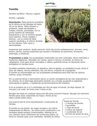 El huerto medicinal
                                                                                                 55

Tomillo
Nombre científico: Thymus vulgaris

Familia: Labiadas

Descripción: Mata perenne aromática
de la familia de las labiadas de hasta
30 cm de altura. Tallos leñosos y
grisáceos. Hojas lanceoladas u
ovadas, enteras, pecioladas, con el
envés cubierto de vellosidad
blanquecina y con el contorno girado
hacia adentro. Flores rosadas y
blancas , con la corola de labio
superior escotada y el inferior dividido
en tres lóbulos. Cáliz rojizo y
aterciopelado.

Sustancias que contiene: Aceite esencial, timol (de acción antibacteriana), borneol, cimol,
pineno, tanino, resinas,sustancias que ayudan a fortalecer los pulmones, bronquios,
estómago, e intestinos.

Propiedades y usos: Sus propiedades medicinales son bien conocidas. Alivia resfriados o
trastornos digestivos. Mezclado con menta, salvia o romero, el tomillo, en forma de
cataplasma, sirve para aliviar neuralgias y ciática, pudiendo actuar en decocción como
antiséptico en heridas leves.

Combate parásitos intestinales, es digestivo, abre el apetito, es antiséptico bucal, alivia el
dolor de cabeza, nervios alterados, tos, tos ferina, irritación de la garganta.
El tomillo es recomendado por sus propiedades antisépticas para todo tipo de cataros,
resfríos, gripa, bronquitis.

Por su esencia tónica y estimulante ejerce un acción antiséptica de las vías respiratorias y
los riñones. En el estomago demuestra también sus virtudes ayudando la digestión,
estimulando el apetito, y impidiendo las fermentaciones del intestino.

El te se prepara con 4 a 5 cucharadas por litro de agua hirviendo. Se deja reposar 10
minutos y se cuela. Se toma unas 3 tazas al día.

Recoger las hojas en cualquier época del año para consumir frescas. Recoger los extremos
floridos para secar, separando las hojas y flores de los
tallos cuando estén secos.

Uso externo del té como desinfectante y cicatrizante de          Aceite de Tomillo
heridas.                                                         - 3 ramitas de tomillo
                                                                 - 2 guindillas
El tomillo es una planta de origen europeo y se cultiva          - 1 hoja de laurel
ampliamente en México.. Se utiliza como condimento y en          - 2 clavos de especie
remedios desde tiempos inmemorables. Además de su                - 1 cucharada de sal
uso culinario como condimento de numerosos platos, se            - 3/4 litro de aceite de oliva
toma en infusión para curar resfriados. También se utiliza
 