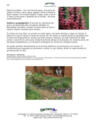 58
                                                         El huerto medicinal


Modo de empleo: Por una taza de agua, una pizca de
planta. Primero, hervir agua, apagar, echar la planta y
dejar reposar 10 minutos tapado. Luego, colar y servir
3 veces al día antes o después de la comida . No tiene
contraindicación.

Cultivo y propagación: El toronjil se reproduce por
guía y se desarrolla bien el lugares soleados no
demasiado humedos. Cuando no tiene agua se seca y
espera mejores tiempos para retoñar.

Su cultivo es muy fácil. Le va bien un suelo ligero, con buen drenaje y riego sin exceso. A
pleno sol o por lo menos 5 horas de sol por día. En otoño, la melisa pierde el agradable olor
a limón que desprende en verano sus flores azules y blancas. En este momento se debe
cortar a unos 20 cm. del suelo. Brotará de forma densa en primavera. En invierno sufre con
las bajas temperaturas y es necesario protegerla en climas con heladas fuertes.

Se puede sembrar directamente en el terreno definitivo en primavera o en verano. O
multiplicarla por esquejes en primavera u otoño. O, por último, dividir la mata durante la
primavera del 2º año.

Aportaciones y referencias:
Sergio Mamert, Holger Hieronimi, Marina Ortiz
CD-Rom «Plantas medicinales de Mexico- Usos y remedios tradicionales», CETEI y el Instituto Nacional de Biología de la UNAM
http://www.infojardin.com/aromaticas/Fichas/Melisa.htm




                 Jacarandas # 5, Barrio Santiago, Erongaricuaro, Michoacán, México, C.P. 61630
                        Tel: 01 4433 730362 (celular), Email: tierramor@laneta.apc.org,
                                    página web: http://www.tierramor.org
 