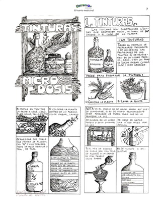 El huerto medicinal
                      7
 
