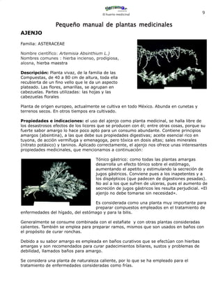 El huerto medicinal
                                                                                           9


                 Pequeño manual de plantas medicinales
AJENJO

Familia: ASTERACEAE

Nombre científico: Artemisia Absinthium L.)
Nombres comunes : hierba incienso, prodigiosa,
alosna, hierba maestra

Descripción: Planta vivaz, de la familia de las
Compuestas, de 40 a 80 cm de altura, toda ella
recubierta de un fino vello que le da un aspecto
plateado. Las flores, amarillas, se agrupan en
cabezuelas. Partes utilizadas: las hojas y las
cabezuelas florales

Planta de origen europeo, actualmente se cultiva en todo México. Abunda en cunetas y
terrenos secos. En otros tiempos era cultivado.

Propiedades e indicaciones: el uso del ajenjo como planta medicinal, se halla libre de
los desastrosos efectos de los licores que se producen con él; entre otras cosas, porque su
fuerte sabor amargo lo hace poco apto para un consumo abundante. Contiene principios
amargos (absintina), a las que debe sus propiedades digestivas; aceite esencial rico en
tuyona, de acción vermífuga y emenagoga, pero tóxica en dosis altas; sales minerales
(nitrato potásico) y taninos. Aplicado correctamente, el ajenjo nos ofrece unas interesantes
propiedades medicinales, que mencionamos a continuación:

                                     Tónico gástrico: como todas las plantas amargas
                                     desarrolla un efecto tónico sobre el estómago,
                                     aumentando el apetito y estimulando la secreción de
                                     jugos gástricos. Conviene pues a los inapetentes y a
                                     los dispépticos (que padecen de digestiones pesadas).
                                     No así a los que sufren de ulceras, pues el aumento de
                                     secreción de jugos gástricos les resulta perjudicial. «El
                                     ajenjo no debe tomarse sin necesidad».

                                  Es considerada como una planta muy importante para
                                  preparar compuestos empleados en el tratamiento de
enfermedades del hígado, del estómago y para la bilis.

Generalmente se consume combinada con el estafiate y con otras plantas consideradas
calientes. También se emplea para preparar ramos, mismos que son usados en baños con
el propósito de curar ronchas.

Debido a su sabor amargo es empleada en baños curativos que se efectúan con hierbas
amargas y son recomendados para curar padecimientos biliares, sustos y problemas de
debilidad, llamados baños para amargo.

Se considera una planta de naturaleza caliente, por lo que se ha empleado para el
tratamiento de enfermedades consideradas como frías.
 