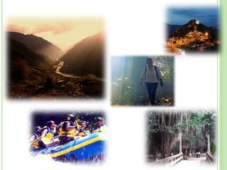 Estudios de estados financieros y sus análisis 