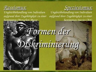 Rassismus: Speziesismus: Ungleichbehandlung von Individuen aufgrund ihrer Zugehörigkeit zu einer bestimmten (Menschen-)Rasse Ungleichbehandlung von Individuen aufgrund ihrer Zugehörigkeit zu einer bestimmten Spezies (Art) Formen der Diskriminierung 