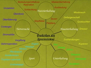 Pferdesport Angeln Großwildjagd Trophäen   sammeln Wildern Hetzjagd Hunderennen Qualzuchten Kupieren Gefangenschaft Dressur Missbrauch Zoohandlungen Schlachtung Betäubungsmittellose Kastration Stopfleber Ausbeutung Pelztiere Massentierhaltung Sexen Zirkus Zoo Zwang Sklaverei Stierkampf Tanzbären Stromstöße Vergiftung Contergan Überdosis Überfütterung Vivisektion Gehirnoperation   Tierversuche Sport Unterhaltung Haustierhaltung Nutztierhaltung Praktiken des Speziesismus 