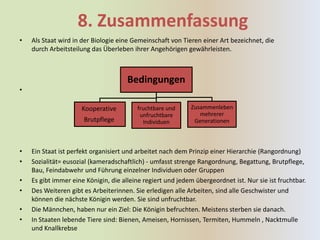 8. Zusammenfassung
•   Als Staat wird in der Biologie eine Gemeinschaft von Tieren einer Art bezeichnet, die
    durch Arbeitsteilung das Überleben ihrer Angehörigen gewährleisten.



                                      Bedingungen
•

                     Kooperative         fruchtbare und     Zusammenleben
                                          unfruchtbare         mehrerer
                      Brutpflege           Individuen        Generationen



•   Ein Staat ist perfekt organisiert und arbeitet nach dem Prinzip einer Hierarchie (Rangordnung)
•   Sozialität= eusozial (kameradschaftlich) - umfasst strenge Rangordnung, Begattung, Brutpflege,
    Bau, Feindabwehr und Führung einzelner Individuen oder Gruppen
•   Es gibt immer eine Königin, die alleine regiert und jedem übergeordnet ist. Nur sie ist fruchtbar.
•   Des Weiteren gibt es Arbeiterinnen. Sie erledigen alle Arbeiten, sind alle Geschwister und
    können die nächste Königin werden. Sie sind unfruchtbar.
•   Die Männchen, haben nur ein Ziel: Die Königin befruchten. Meistens sterben sie danach.
•   In Staaten lebende Tiere sind: Bienen, Ameisen, Hornissen, Termiten, Hummeln , Nacktmulle
    und Knallkrebse
 