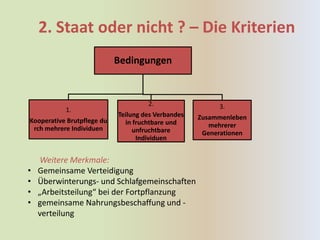 2. Staat oder nicht ? – Die Kriterien
                            Bedingungen


                                     2.                  3.
           1.
                            Teilung des Verbandes   Zusammenleben
Kooperative Brutpflege du     in fruchtbare und
 rch mehrere Individuen                                mehrerer
                                 unfruchtbare        Generationen
                                  Individuen


    Weitere Merkmale:
•   Gemeinsame Verteidigung
•   Überwinterungs- und Schlafgemeinschaften
•   „Arbeitsteilung“ bei der Fortpflanzung
•   gemeinsame Nahrungsbeschaffung und -
    verteilung
 