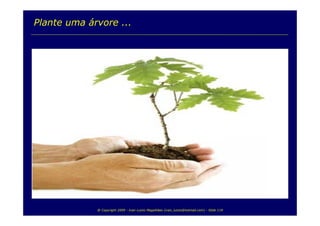 TI e Sustentabilidade Ambiental