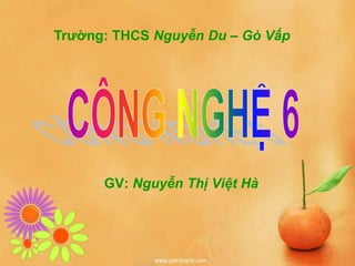GV: Nguyễn Thị Việt Hà
Trường: THCS Nguyễn Du – Gò Vấp
 