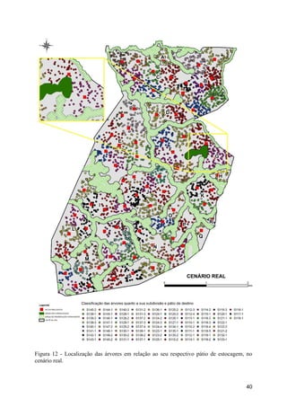 40
Figura 12 - Localização das árvores em relação ao seu respectivo pátio de estocagem, no
cenário real.
 