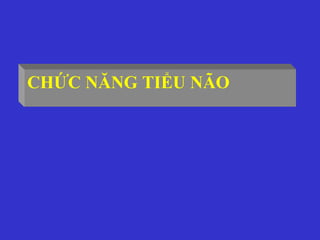 CHỨC NĂNG TIỂU NÃO
 