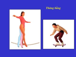 Thăng bằng
 